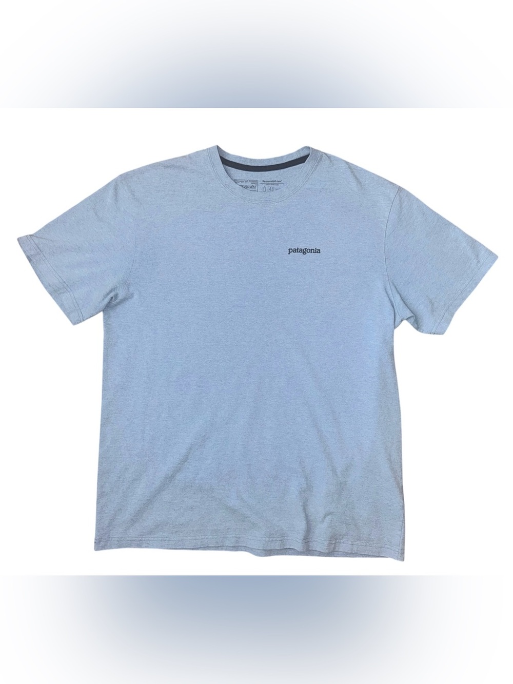 Patagonia Men’s Fitz Roy Horizons Blue Responsibili-Tee, Large